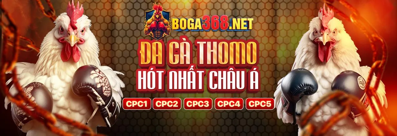 Đá gà trực tuyến 678win